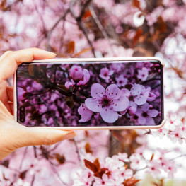 Oppo Find X10 zachwyci trzema aparatami 200 MP i funkcją Open Gate